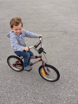 995044_10152937368425247_1083589722_n